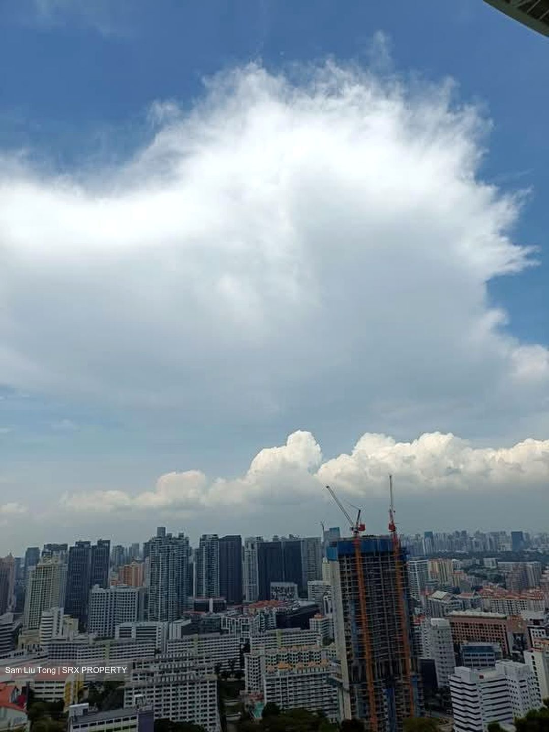 One Pearl Bank (D3), Apartment #531487141